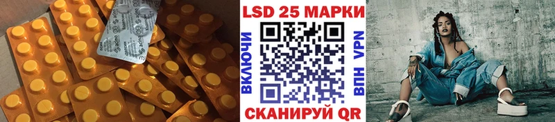 блэк спрут ТОР  цена   Славгород  Лсд 25 экстази кислота 
