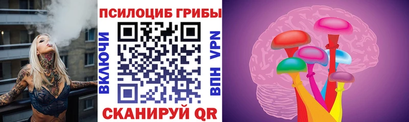Галлюциногенные грибы мухоморы  где купить наркоту  ОМГ ОМГ зеркало  Славгород 