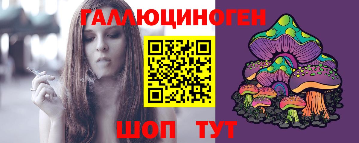 Псилоцибиновые грибы Psilocybe  купить наркотики цена  Славгород  Вход с VPN 